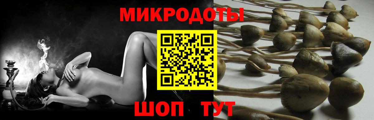 Сокол  Галлюциногенные грибы Psilocybe  где можно купить наркотик  Вход с VPN 